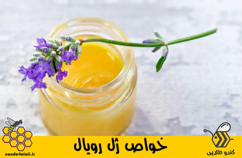 قیمت ژل رویال